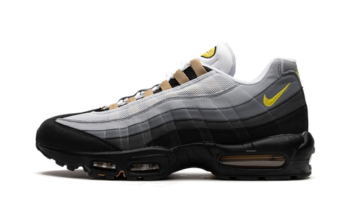 Air Max 95 "ICONS" DX4236 100