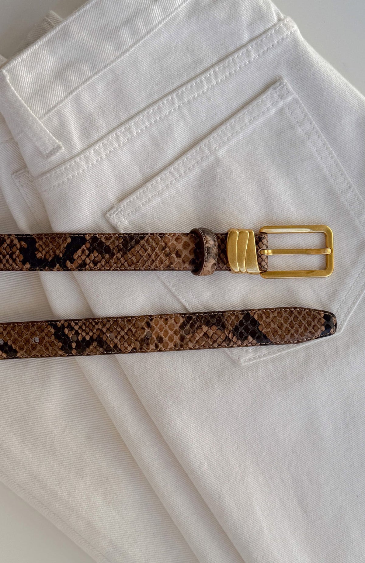 Rex Belt Snake/Vintage Gold